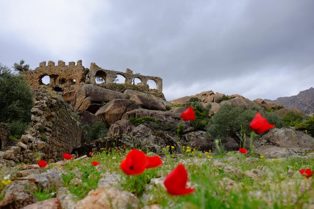 Selenes Pansiyon كابيكيري المظهر الخارجي الصورة